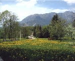 I colori del Friuli Venezia Giulia I colori del Friuli Venezia Giulia