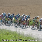 Il gruppo